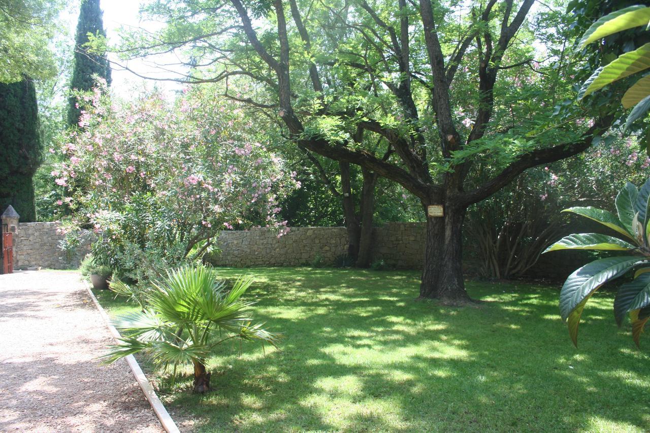 Auberge De Pachoquin Meounes-les-Montrieux Ngoại thất bức ảnh